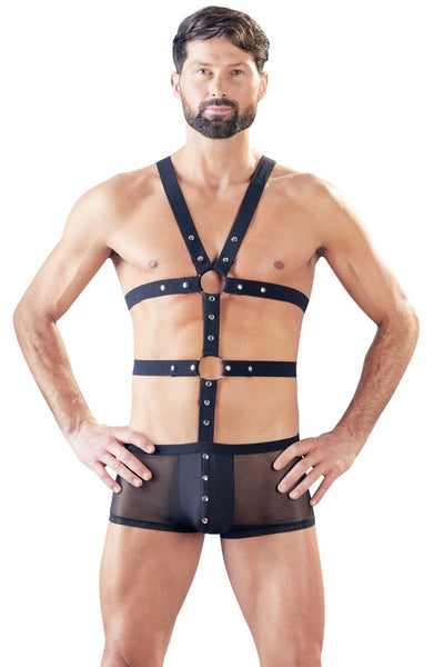 Boxer with Harness - Last chance to buy!