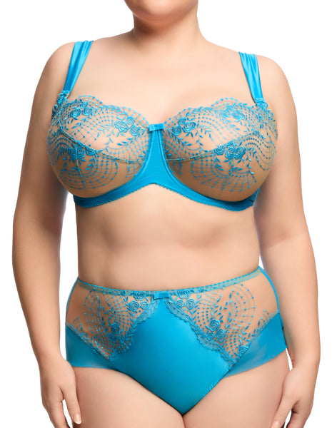 Julies Roses Butterfly Blue High Waist Brief (Last chance to buy)