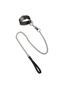 Collar with Chain Leash