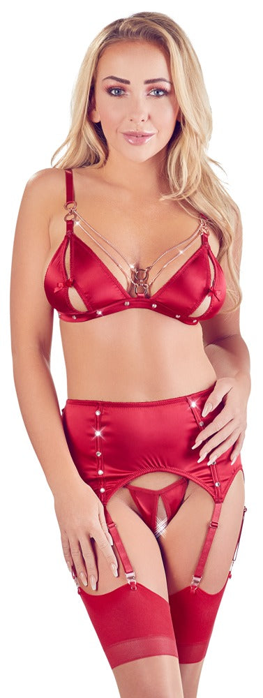 Abierta Fina- Khaleesi - 3 Piece Ouvert Bra, Thong and Suspender Set