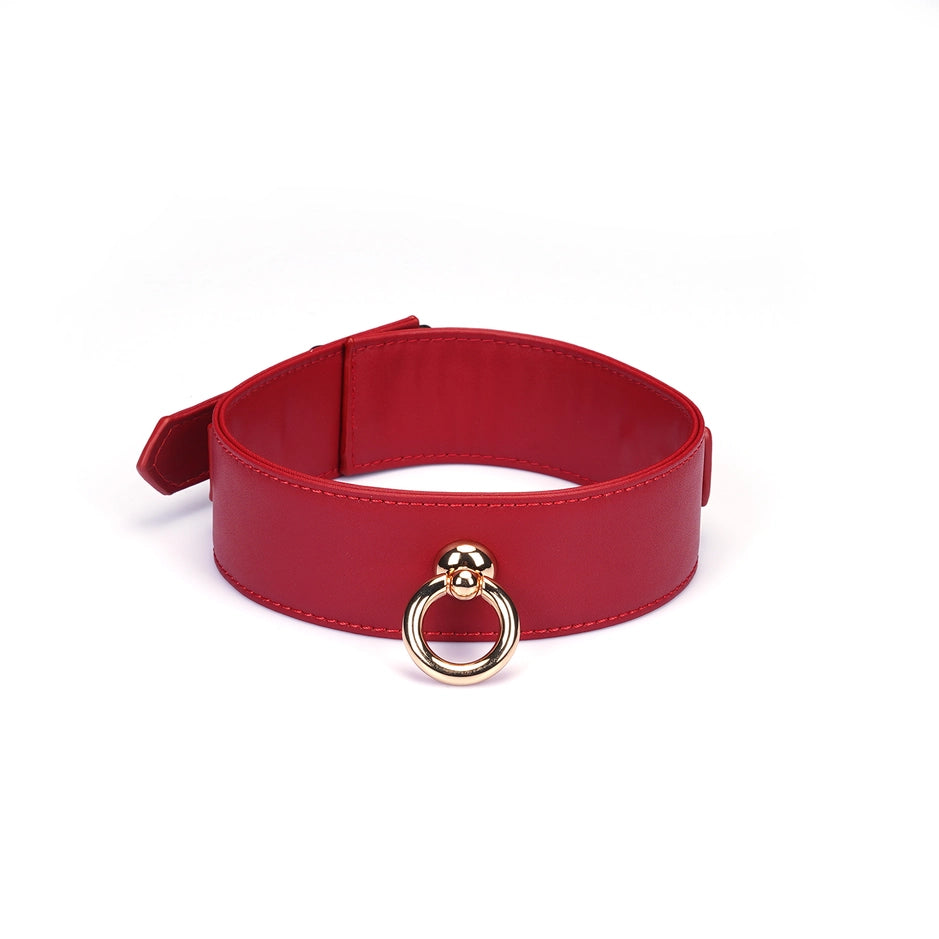 Red Faux Leather Collar & Leash by Liebe Seele