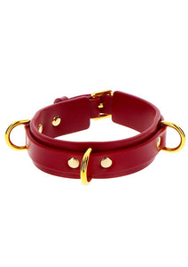 D-Ring Collar Deluxe