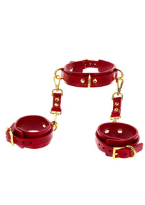 D-Ring Collar Deluxe & Wrist Cuffs