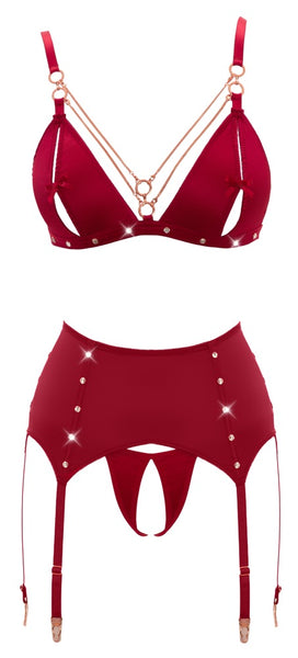 Abierta Fina- Khaleesi - 3 Piece Ouvert Bra, Thong and Suspender Set