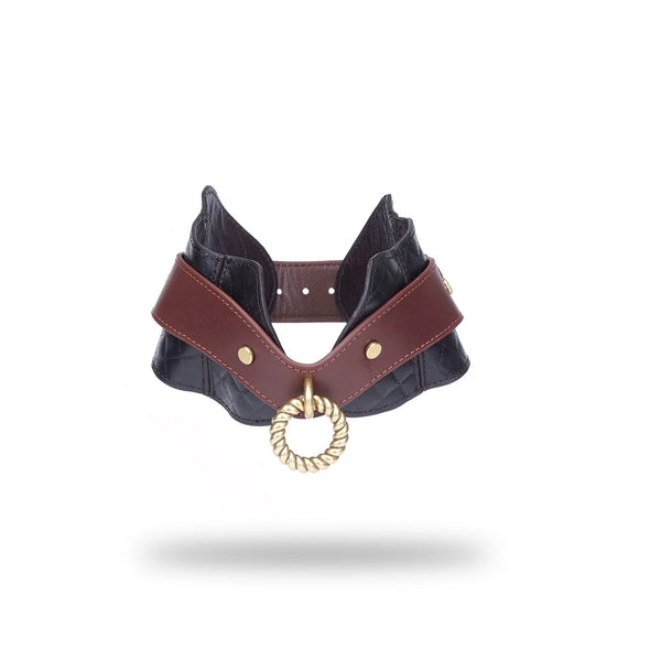 The Equestrian - Leather Posture Control Collar and Leash