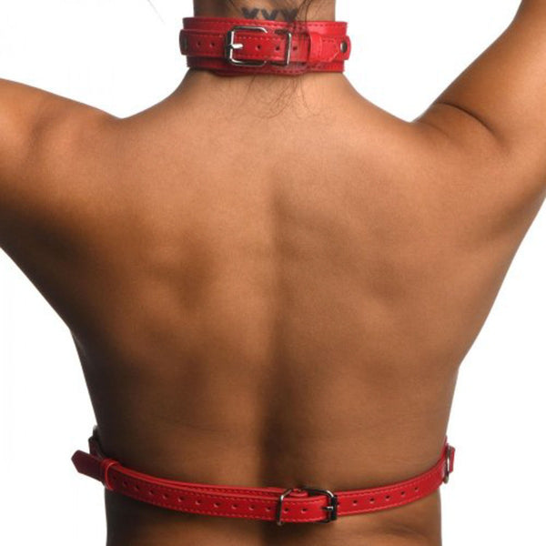 Strict - Chest Harness.