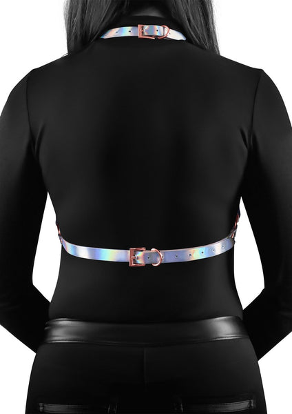 Holographic Harness