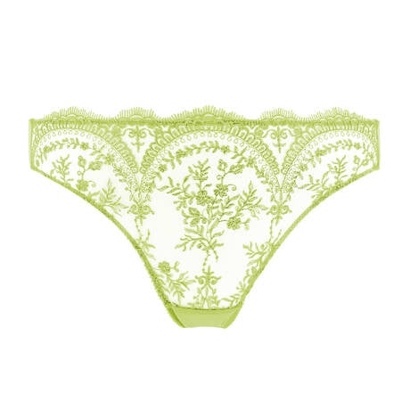 NEW! Severine Absinthe Foil Brief by Dita Von Teese