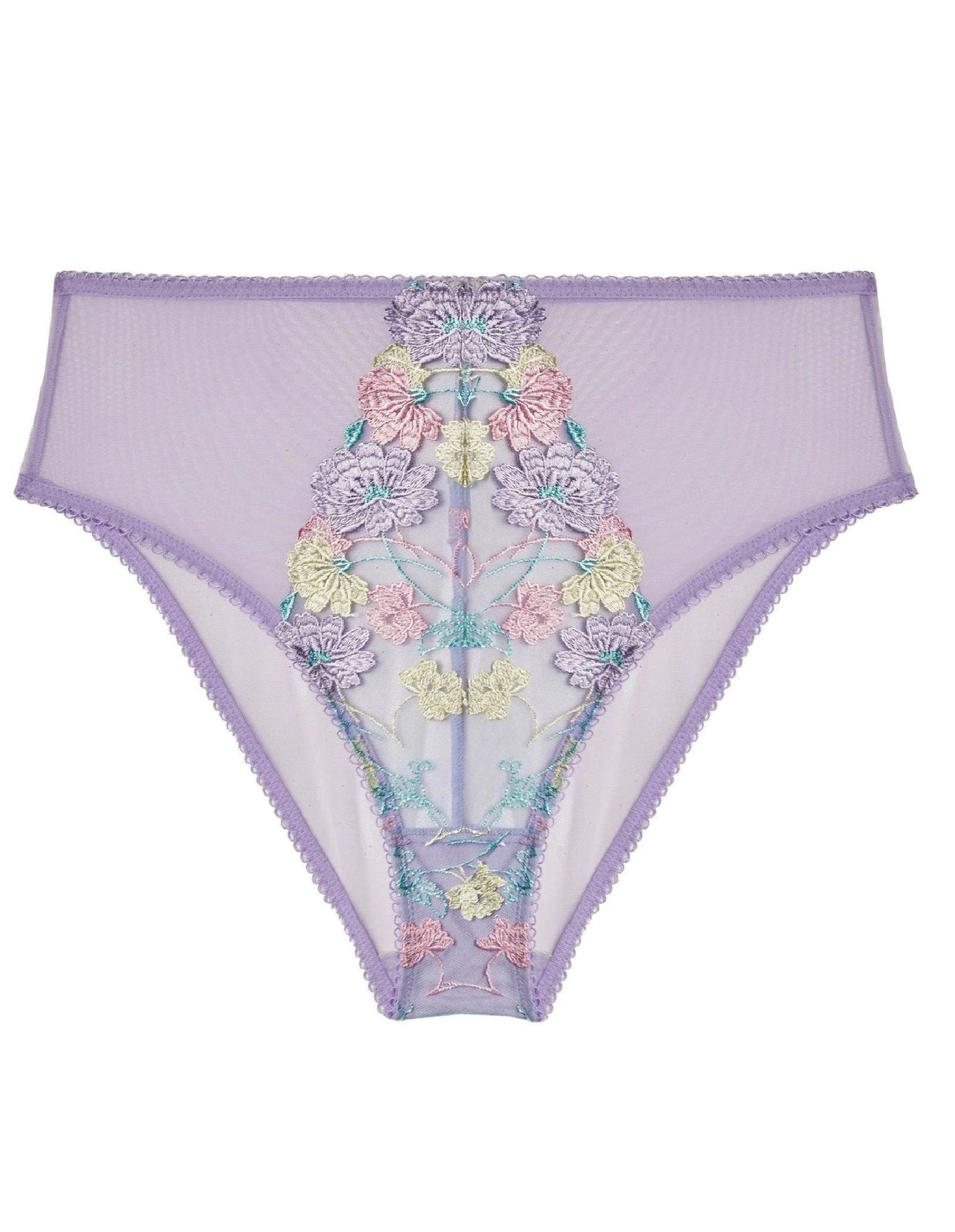 Luna Pastel Embroidered High Waist Brief - Last chance to buy! (UK 10/12/14)