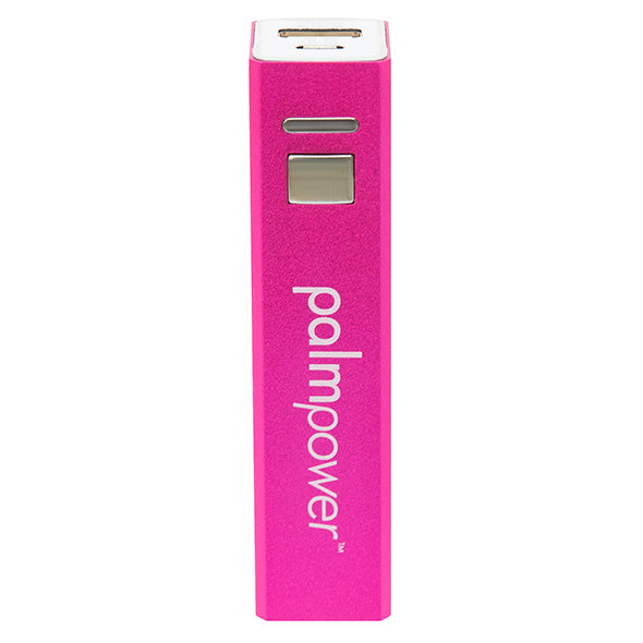 Plug & Play Wand by PalmPower