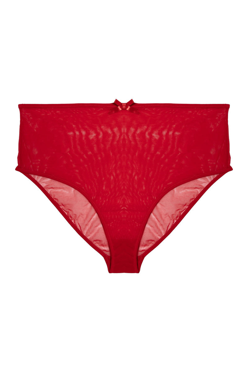 Elizabeth Red Marabou PinUp Mesh Brief