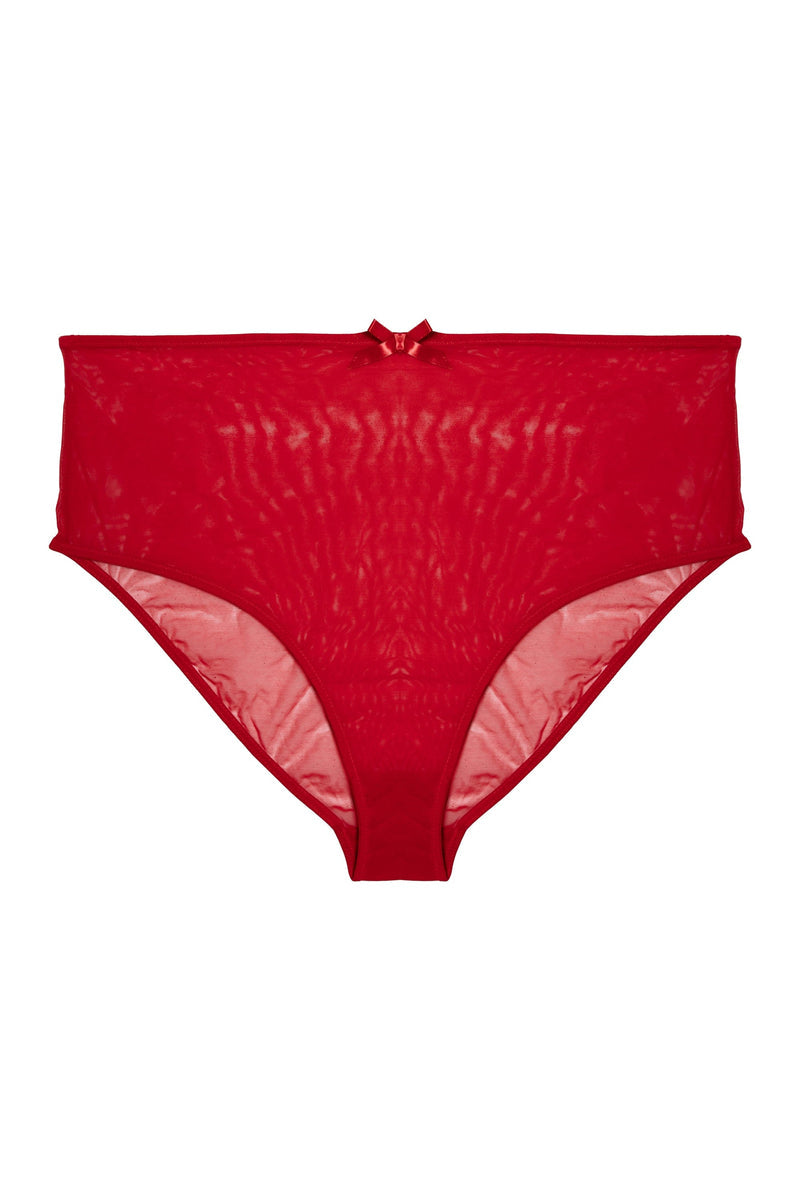 Elizabeth Red Marabou PinUp Mesh Brief