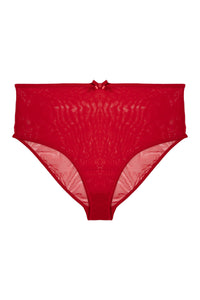 Elizabeth Red Marabou PinUp Mesh Brief