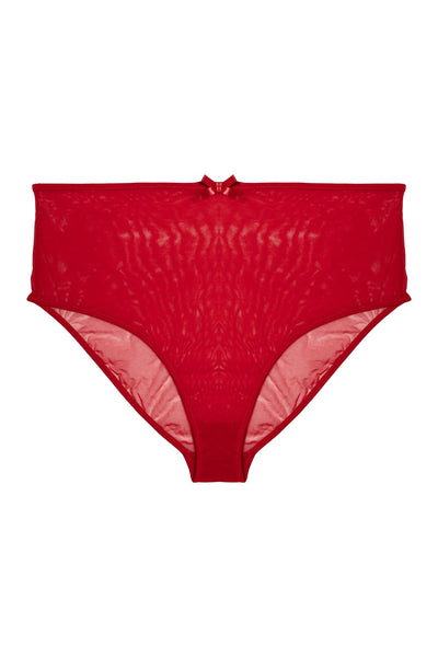 Elizabeth Red Marabou PinUp Mesh Brief