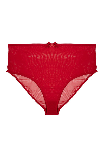 Elizabeth Red Marabou PinUp Mesh Brief