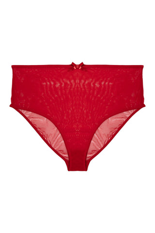 Elizabeth Red Marabou PinUp Mesh Brief