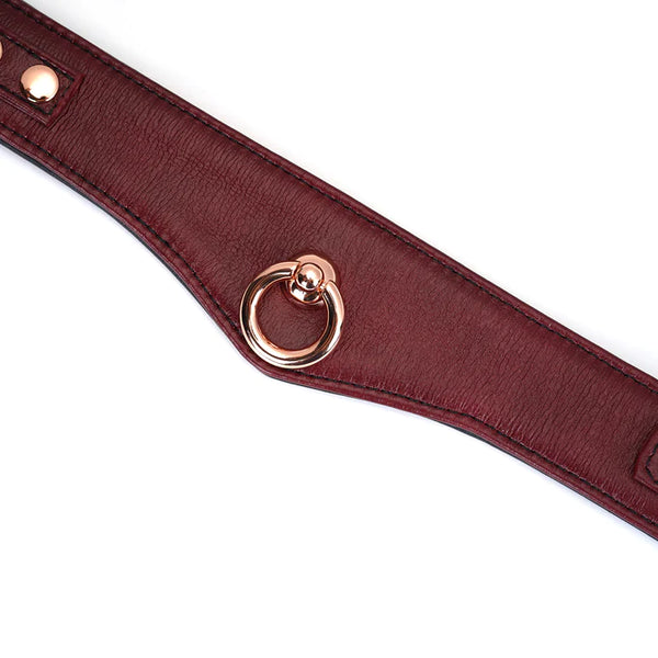 Leather Wine Red Deluxe Curved Collar with Leash and Lock by Liebe Seele