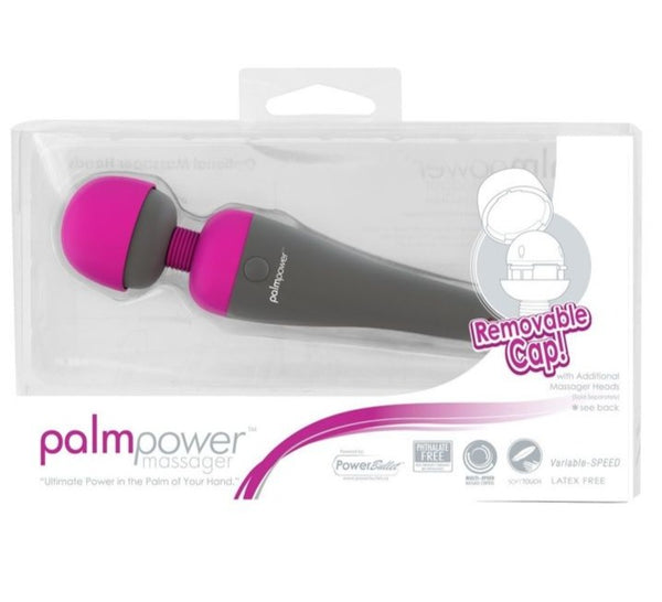 PalmPower Massager With Multi Plugs
