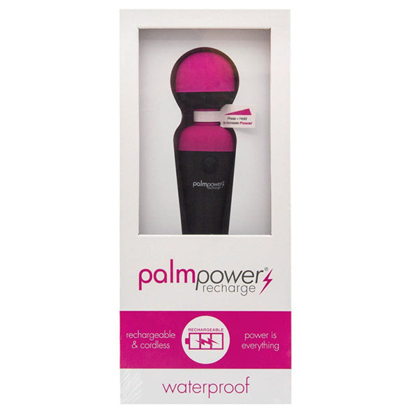 Rechargeable Wand by PalmPower