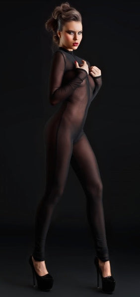 Sweety Sheer Mesh Catsuit