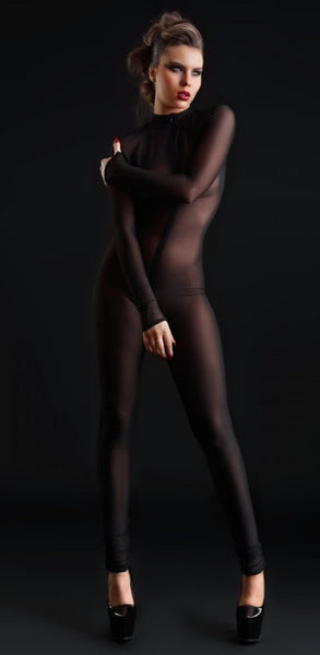 Sweety Sheer Mesh Catsuit