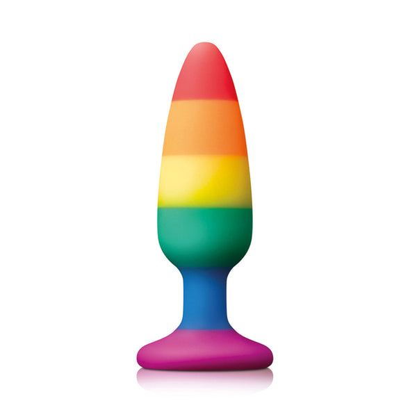 Rainbow Silicone Butt Plug