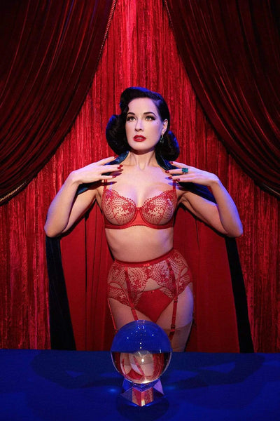 Julies Roses Red Suspender Belt - Last Chance To Buy! (XL)