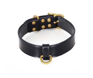 Leather and Bronze D ring collar