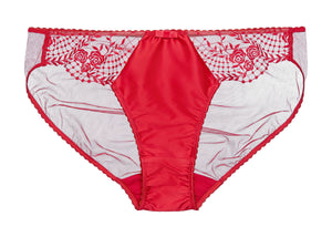 Julies Roses Red Brief - Last Chance To Buy! (XS - UK 8)